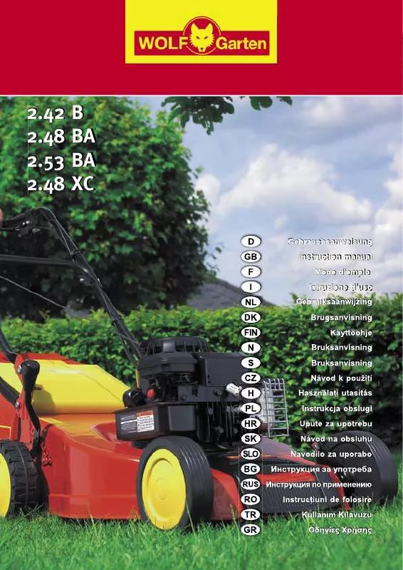 Mode d'emploi BRIGGS & STRATTON 2.42 B