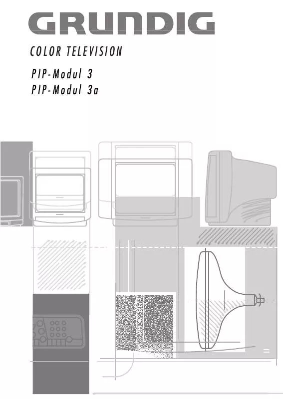 Mode d'emploi GRUNDIG MODUL PIP 3A