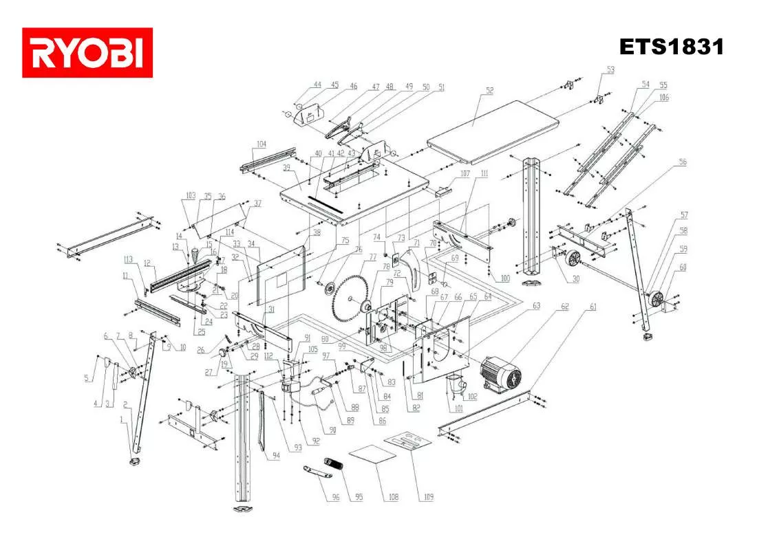 Mode d'emploi RYOBI ETS1831