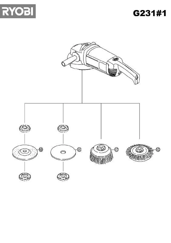 Mode d'emploi RYOBI G231-1