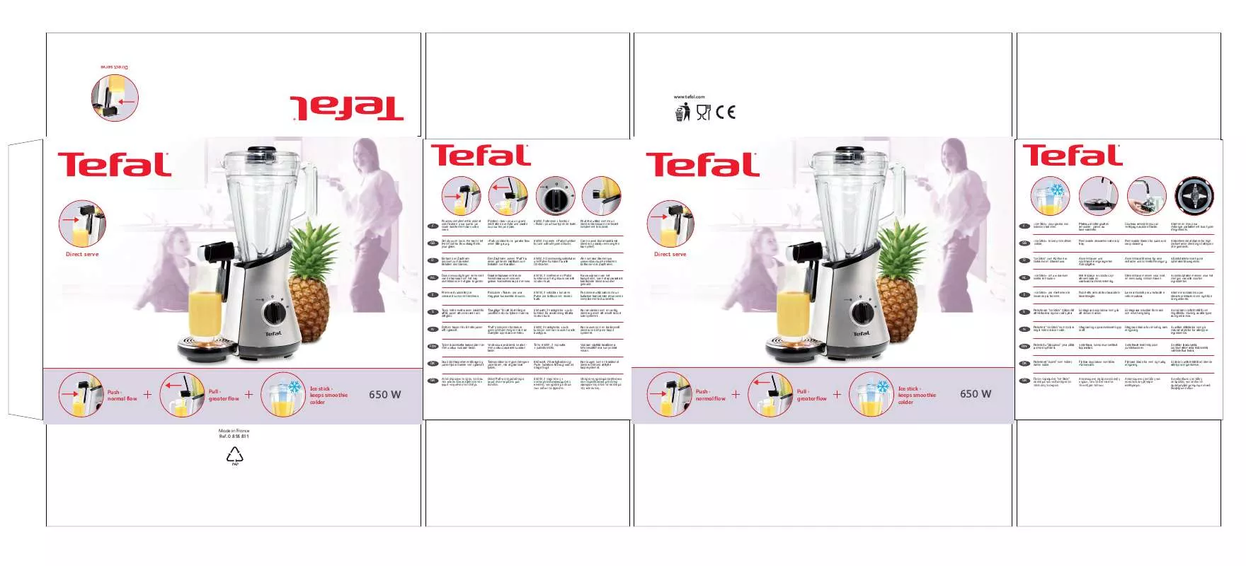 Mode d'emploi TEFAL BL600E